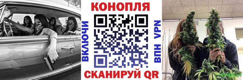 darknet телеграм  Нелидово  Канабис тримм 